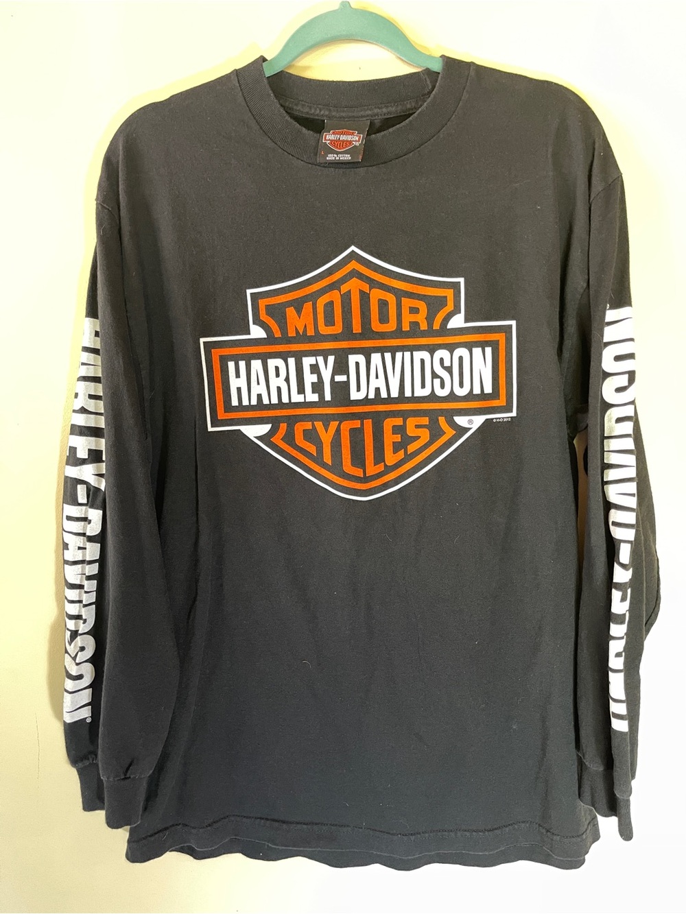 Harley-Davidson Men's Long Sleeve Logo Tee double sided and sleeve graphics